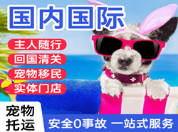 拉萨贡嘎航空物流国际宠物托运 【国
